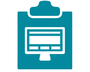 IT System Auditing